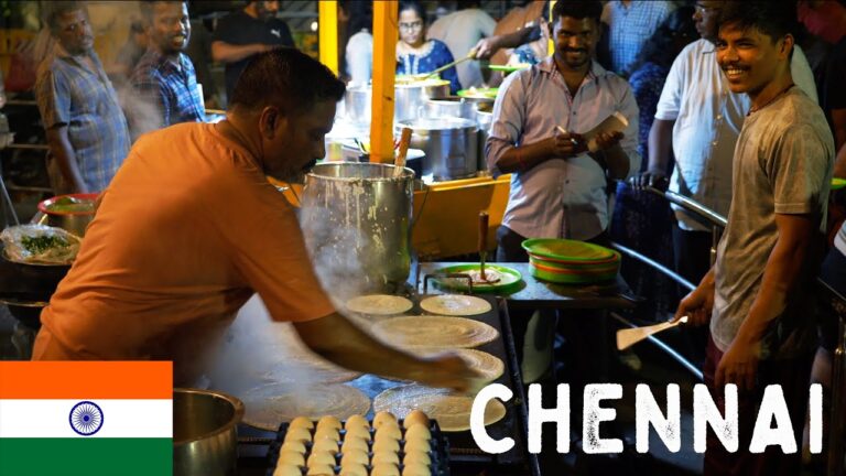 Explorando la comida callejera de la India: Un festín para los sentidos